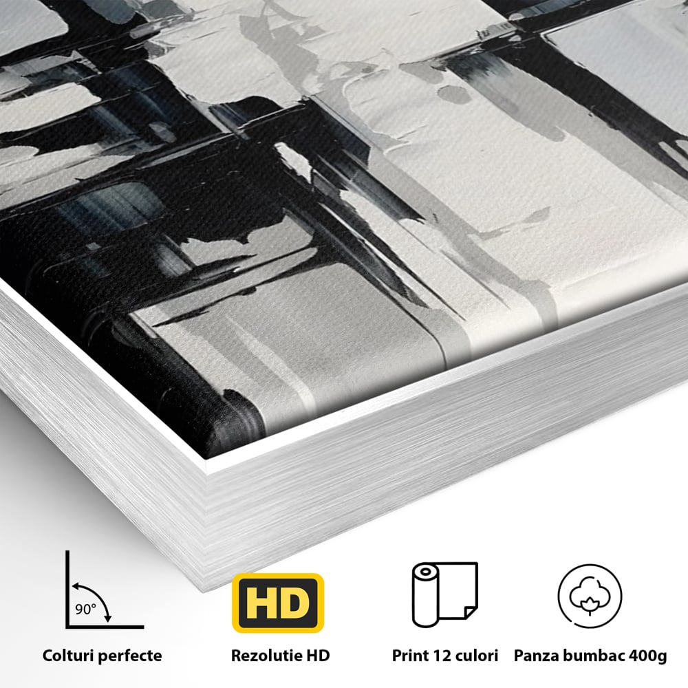 Detaliu al suprafetei: pictura abstracta alb-negru, in rama de aluminiu argintiu
